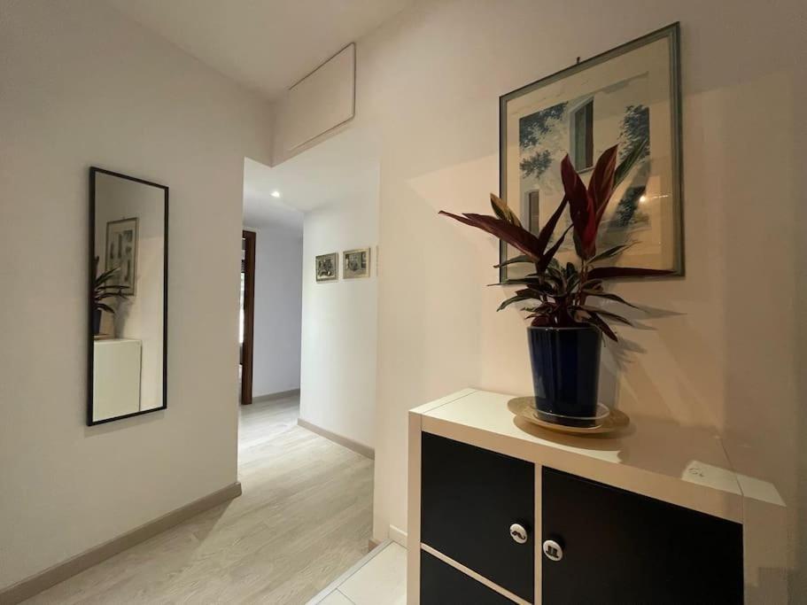 Spacious And Bright โรม ภายนอก รูปภาพ